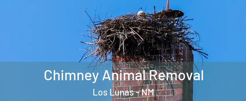  Chimney Animal Removal Los Lunas - NM