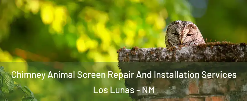  Chimney Animal Screen Repair And Installation Services Los Lunas - NM