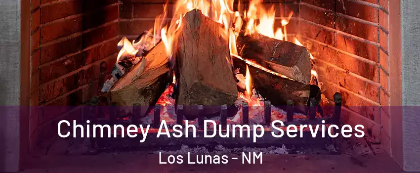  Chimney Ash Dump Services Los Lunas - NM