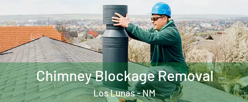  Chimney Blockage Removal Los Lunas - NM