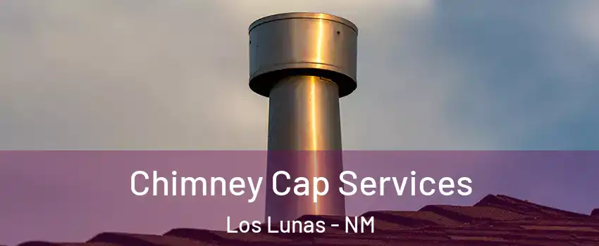  Chimney Cap Services Los Lunas - NM