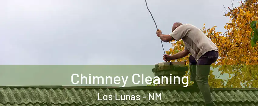 Chimney Cleaning Los Lunas - NM