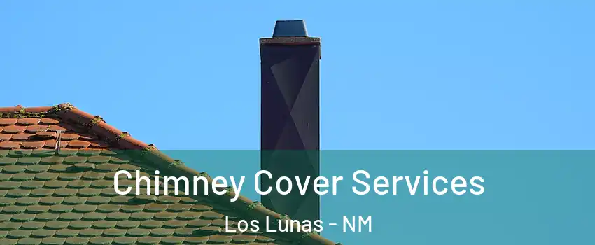  Chimney Cover Services Los Lunas - NM