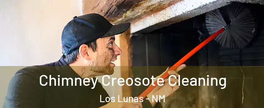  Chimney Creosote Cleaning Los Lunas - NM