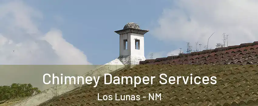  Chimney Damper Services Los Lunas - NM