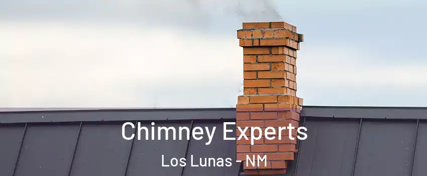  Chimney Experts Los Lunas - NM
