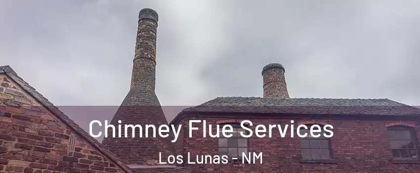  Chimney Flue Services Los Lunas - NM