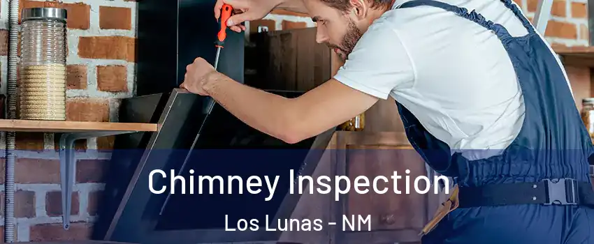  Chimney Inspection Los Lunas - NM