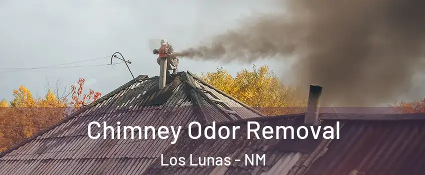  Chimney Odor Removal Los Lunas - NM