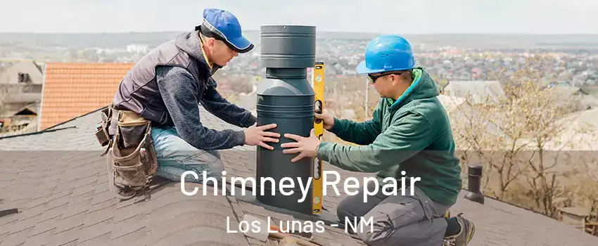  Chimney Repair Los Lunas - NM