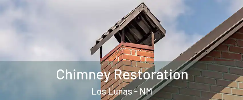  Chimney Restoration Los Lunas - NM
