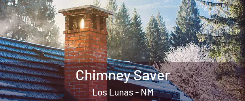  Chimney Saver Los Lunas - NM