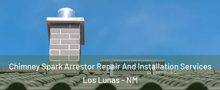  Chimney Spark Arrestor Repair And Installation Services Los Lunas - NM