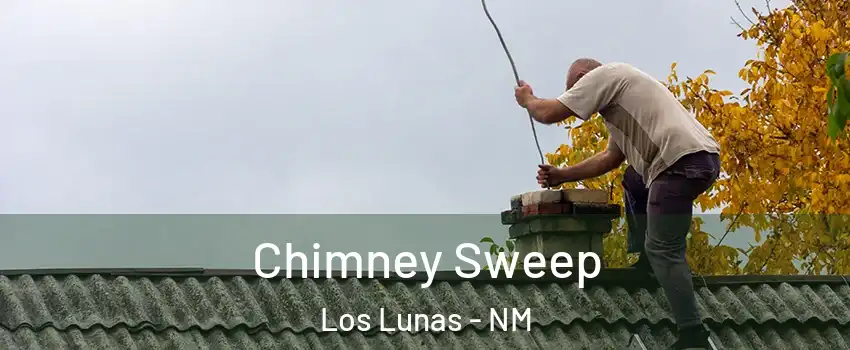  Chimney Sweep Los Lunas - NM