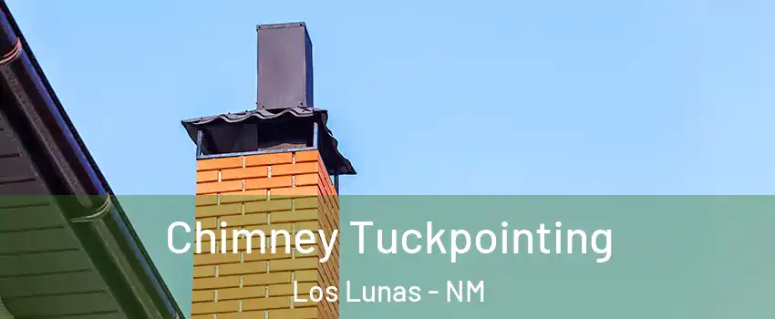  Chimney Tuckpointing Los Lunas - NM