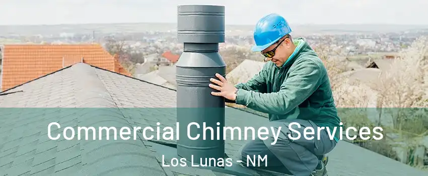  Commercial Chimney Services Los Lunas - NM