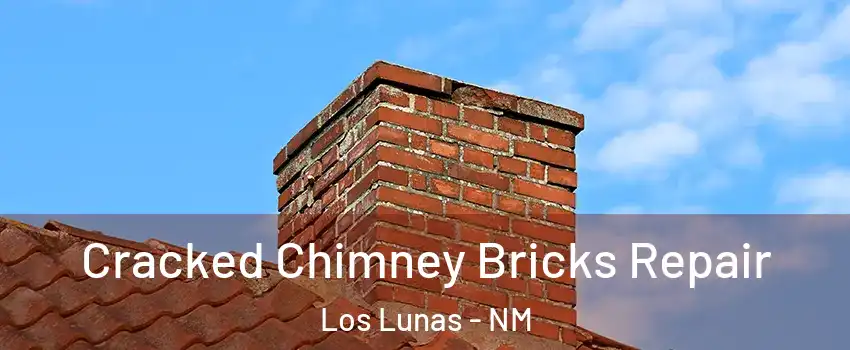  Cracked Chimney Bricks Repair Los Lunas - NM
