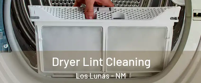  Dryer Lint Cleaning Los Lunas - NM