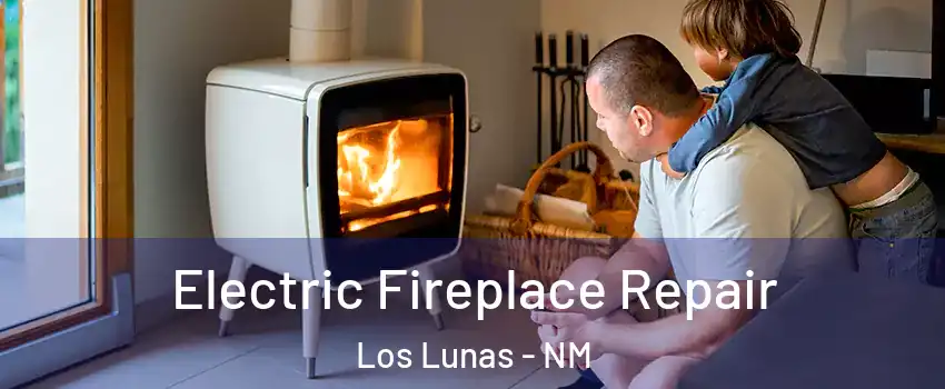  Electric Fireplace Repair Los Lunas - NM