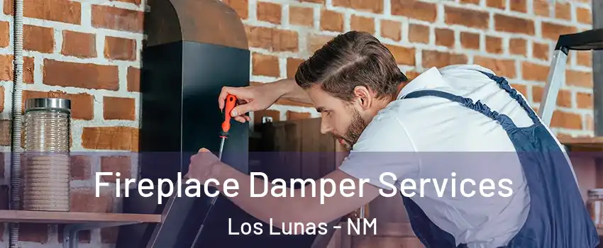  Fireplace Damper Services Los Lunas - NM