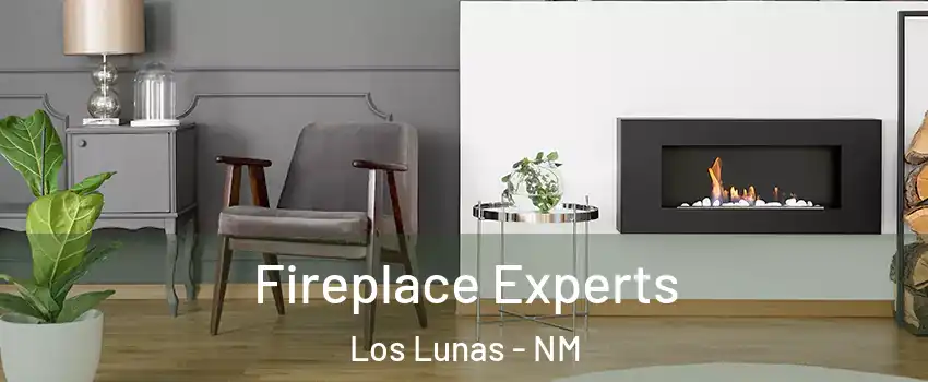  Fireplace Experts Los Lunas - NM