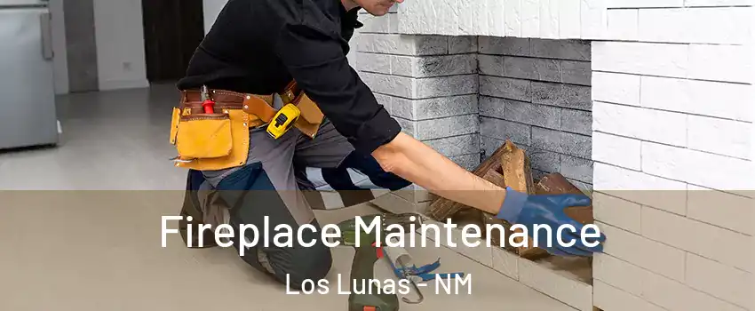  Fireplace Maintenance Los Lunas - NM