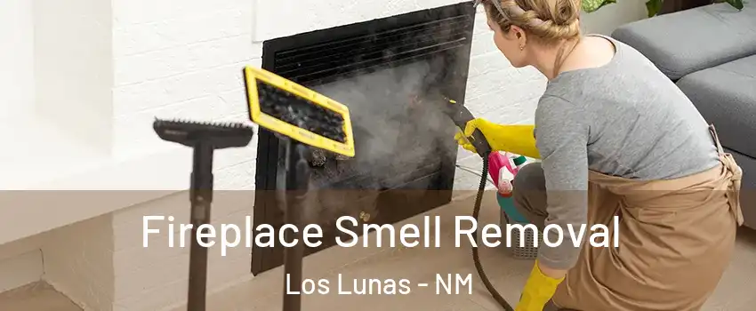  Fireplace Smell Removal Los Lunas - NM
