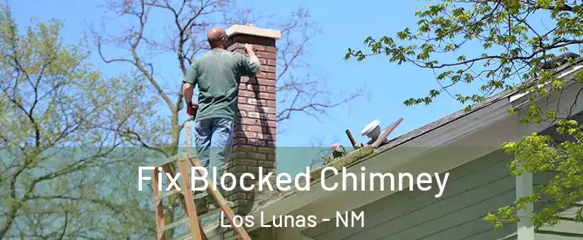  Fix Blocked Chimney Los Lunas - NM