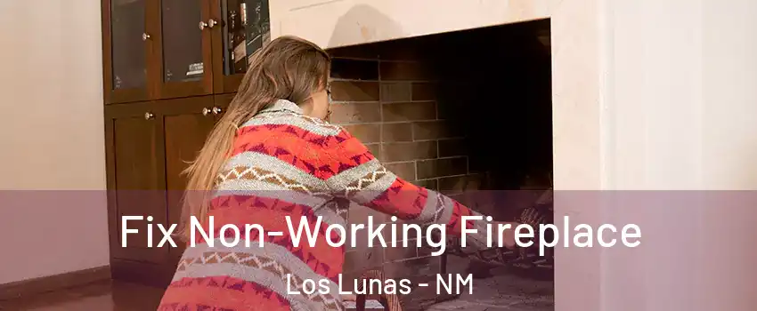  Fix Non-Working Fireplace Los Lunas - NM