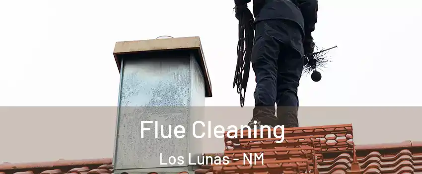  Flue Cleaning Los Lunas - NM