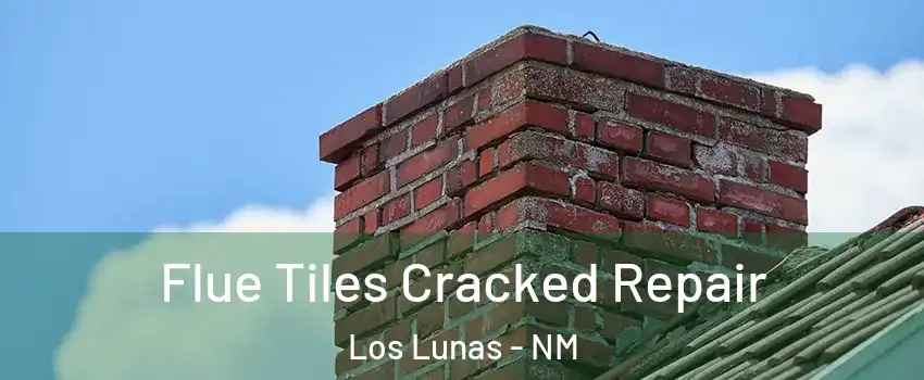  Flue Tiles Cracked Repair Los Lunas - NM