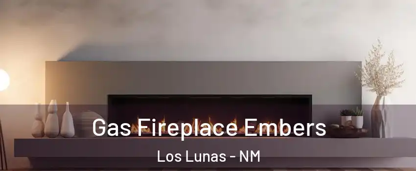  Gas Fireplace Embers Los Lunas - NM