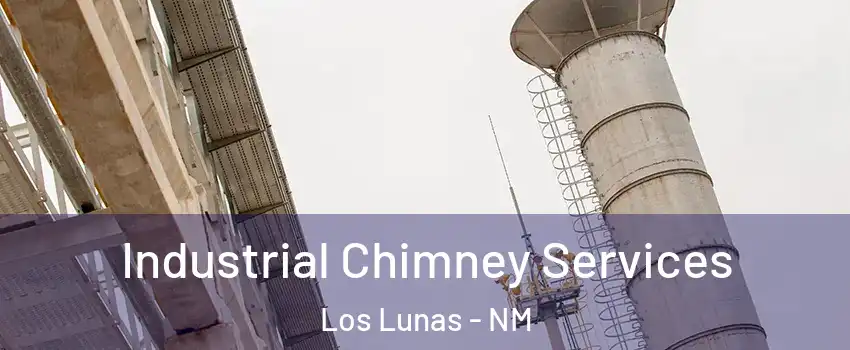  Industrial Chimney Services Los Lunas - NM