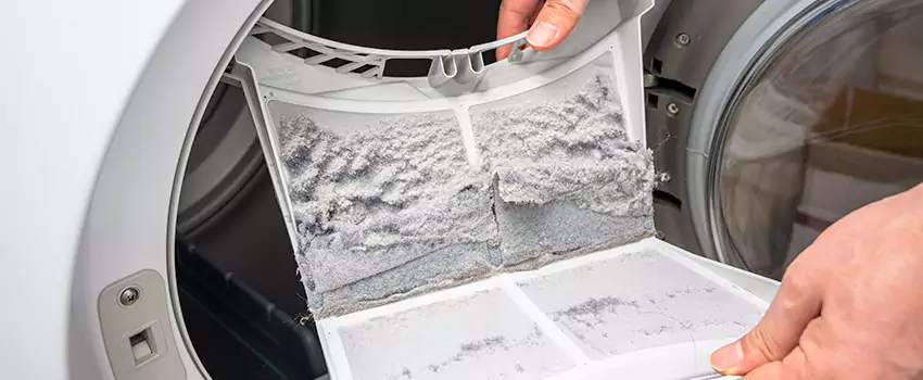 Best Dryer Lint Removal Company in Los Lunas, New Mexico