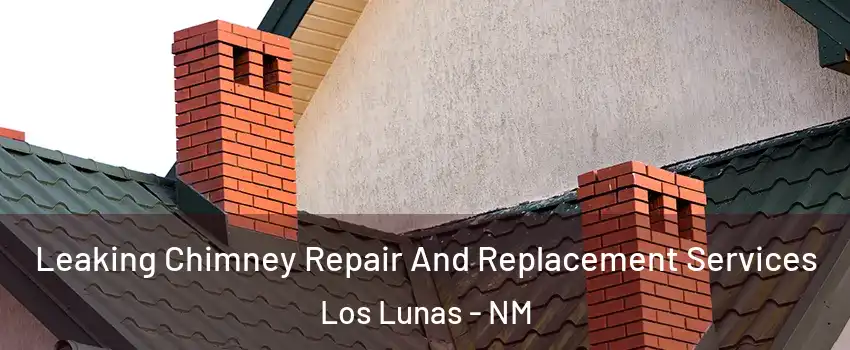  Leaking Chimney Repair And Replacement Services Los Lunas - NM