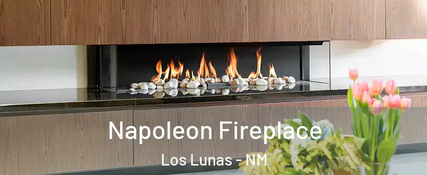  Napoleon Fireplace Los Lunas - NM