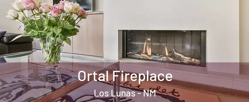  Ortal Fireplace Los Lunas - NM