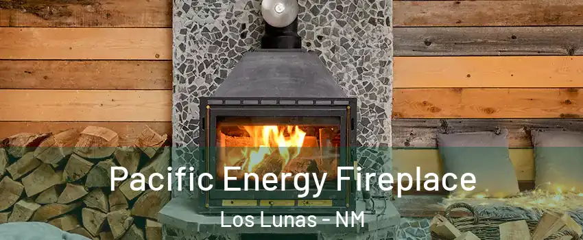  Pacific Energy Fireplace Los Lunas - NM